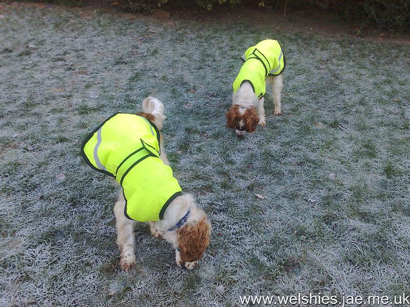 2010-11-28 01.jpg - Showing off our fluorescent coats